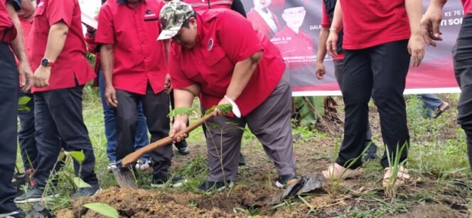 
 DPD PDIP Kaltim Gelar Aksi Tanam 500 Pohon di Lahan Eks Tambang